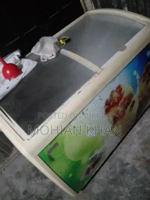 Singer 400 Liter Ice Cream Fridge