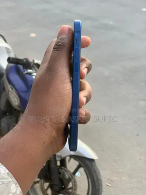 Apple iPhone 12 (Used)