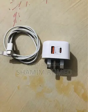 iPhone Adapter