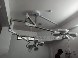 Ceiling Mounted Dual Head OT Light