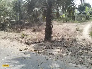 পাকা রাস্তার সঙ্গে থেকে প্লট আকারে জমি বিক্রি করা হচ্ছে