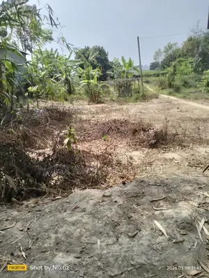 পাকা রাস্তার সঙ্গে থেকে প্লট আকারে জমি বিক্রি করা হচ্ছে