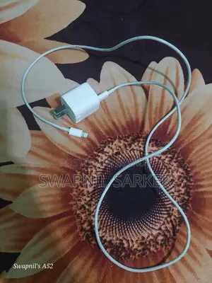 Anker Zolo 20w GaN Charger - Original Apple Cable