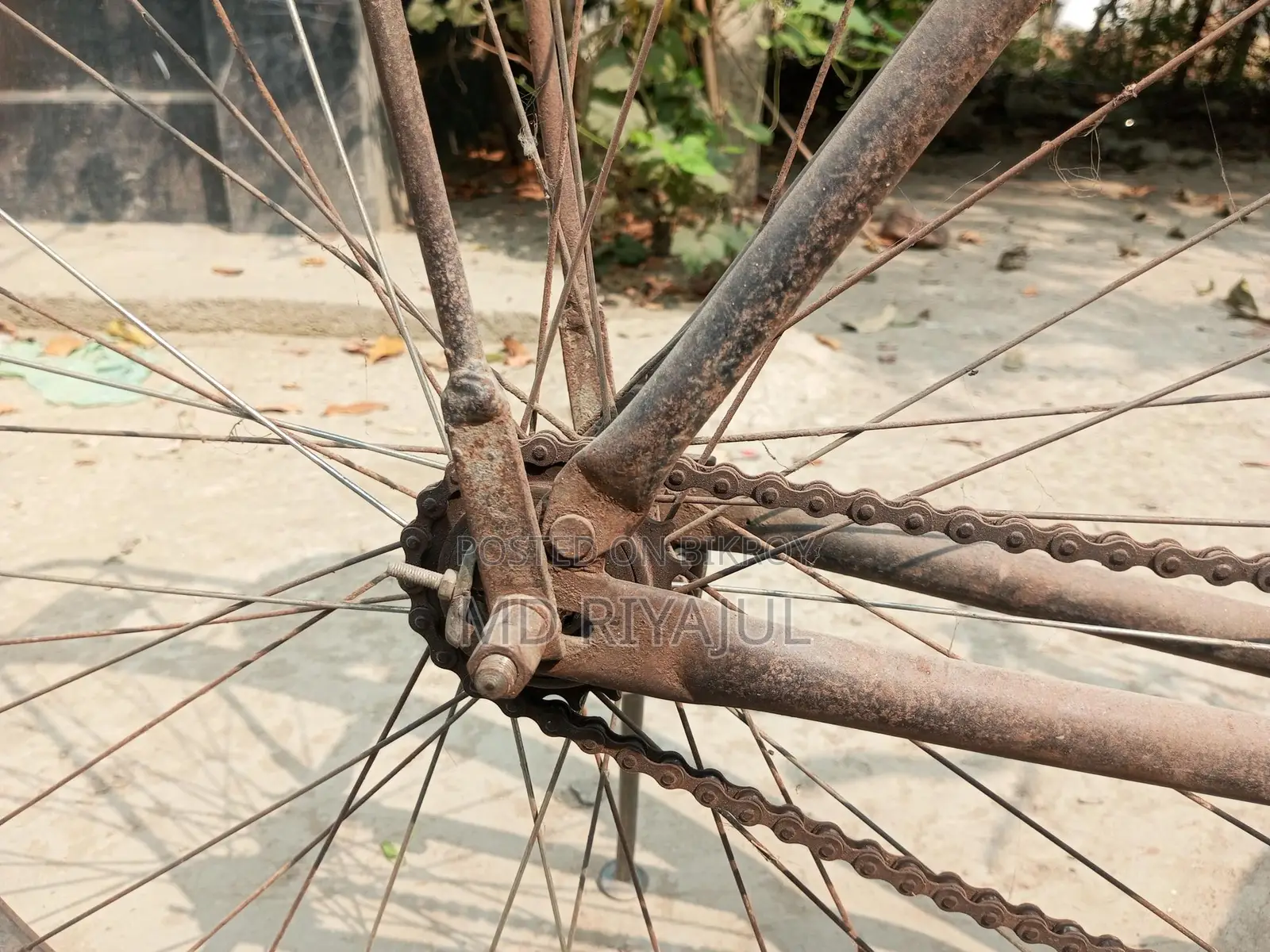 Bicycle for Sale