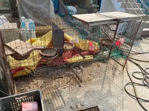 কবুতরের ব্যবহৃত খাঁচা