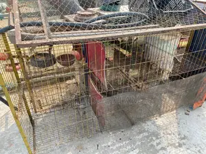 কবুতরের ব্যবহৃত খাঁচা
