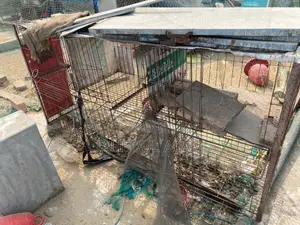 কবুতরের ব্যবহৃত খাঁচা