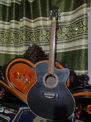 Zealux Guitar