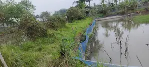 তাপশ শাহ এর মিলের পূর্ব দিকে, পুটিমারি মৌজায় ৯ কাঠা বিলেন জমি
