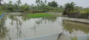 তাপশ শাহ এর মিলের পূর্ব দিকে, পুটিমারি মৌজায় ৯ কাঠা বিলেন জমি