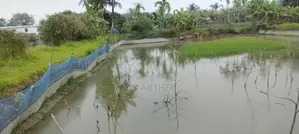 তাপশ শাহ এর মিলের পূর্ব দিকে, পুটিমারি মৌজায় ৯ কাঠা বিলেন জমি