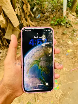 Apple iPhone 13 Pro Max 256 (Used)