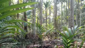 জমি বিক্রয়