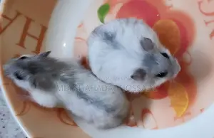 Winter Hamsters (7 pcs)