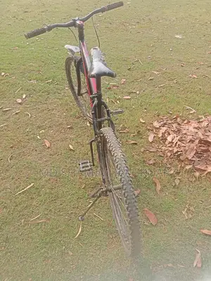 Bicycle for sale