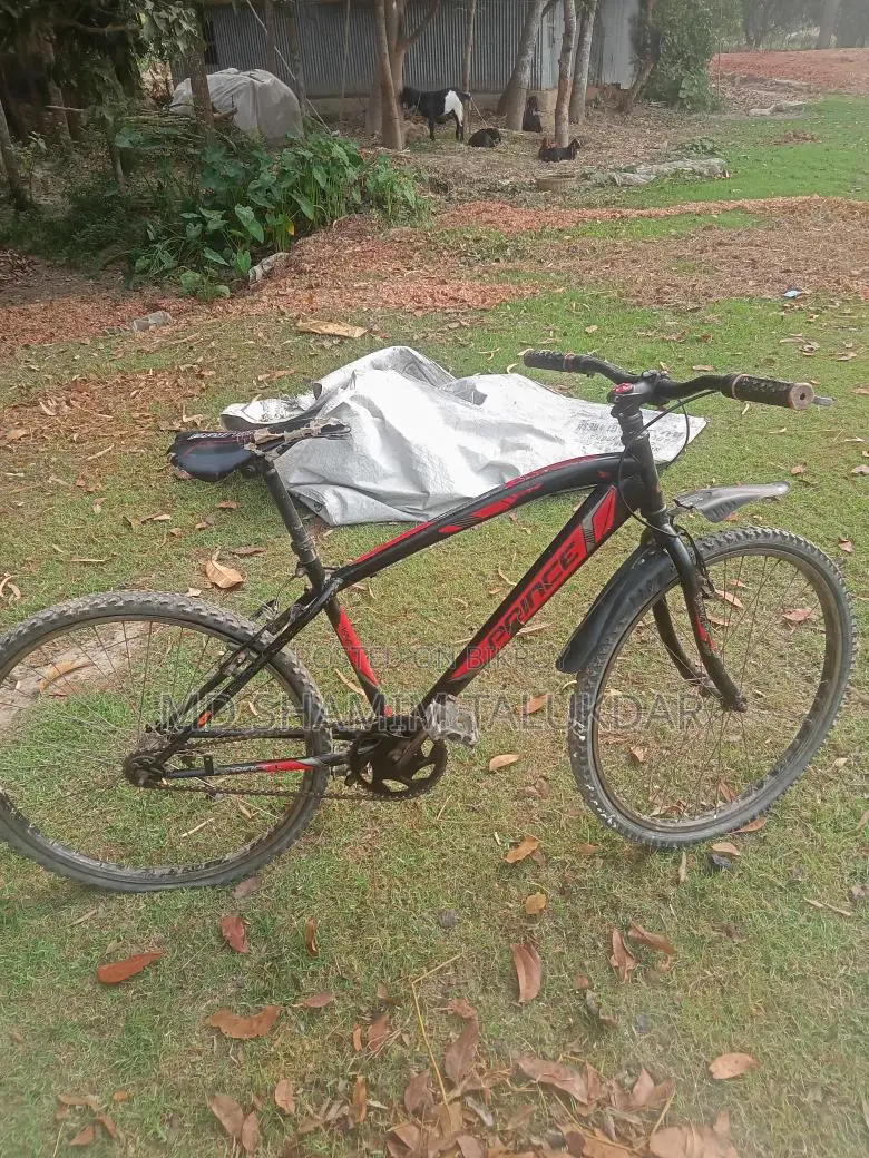 Bicycle for sale