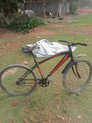Bicycle for sale