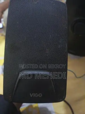Original Vigo Sound Box.