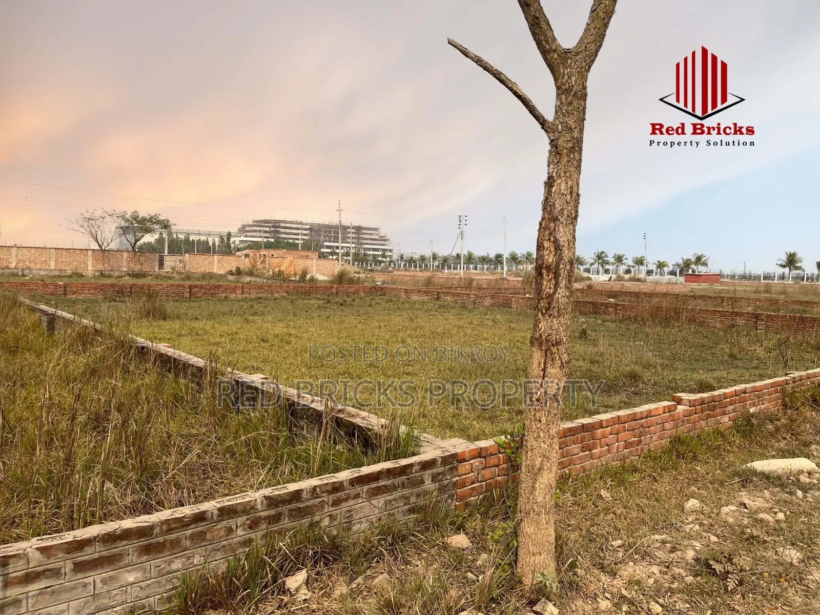 বসুন্ধরা আর/এ ঢাকাতে দক্ষিণমুখী ৩ কাঠার এন ব্লক প্লট বিক্রয়ের জন্য