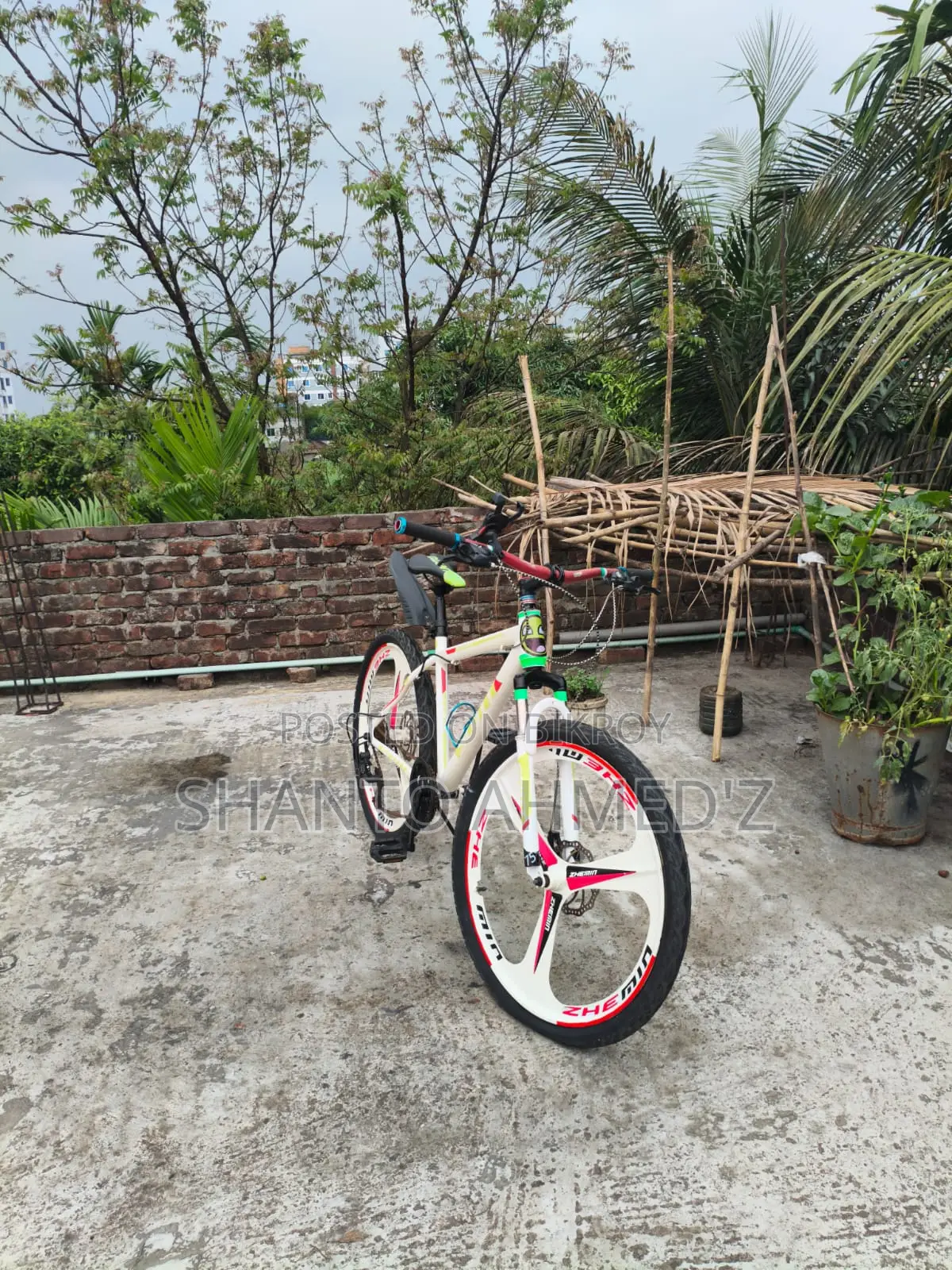 Coyote Bicycle For Sale