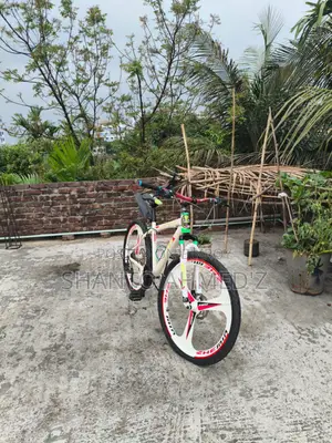 Coyote Bicycle For Sale