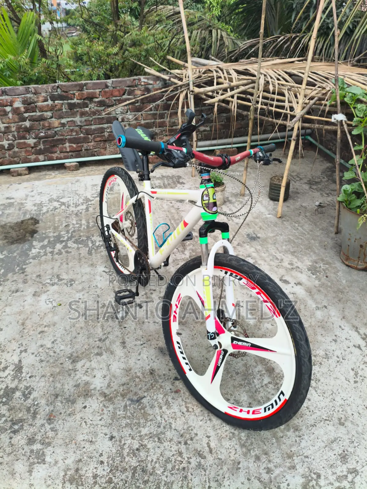 Coyote Bicycle For Sale