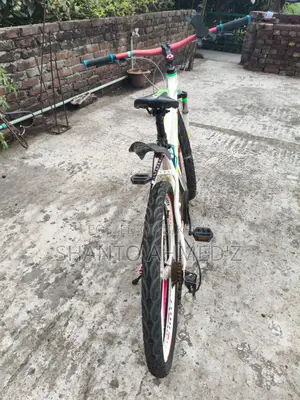 Coyote Bicycle For Sale