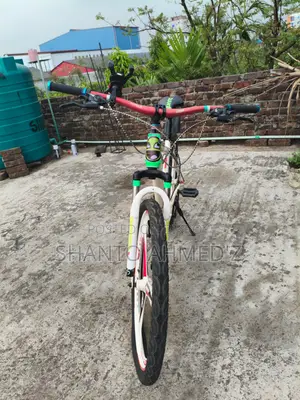 Coyote Bicycle For Sale