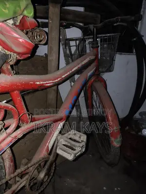 Bicycle for Sale