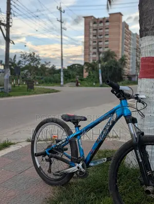 Wiscco 4x Cycle