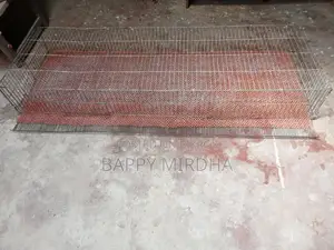 কোয়েল ও মুরগির বাচ্চা পালন করতে পারেন