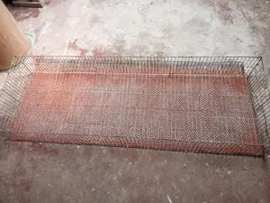 Suitable for Quail and Chicken Farming