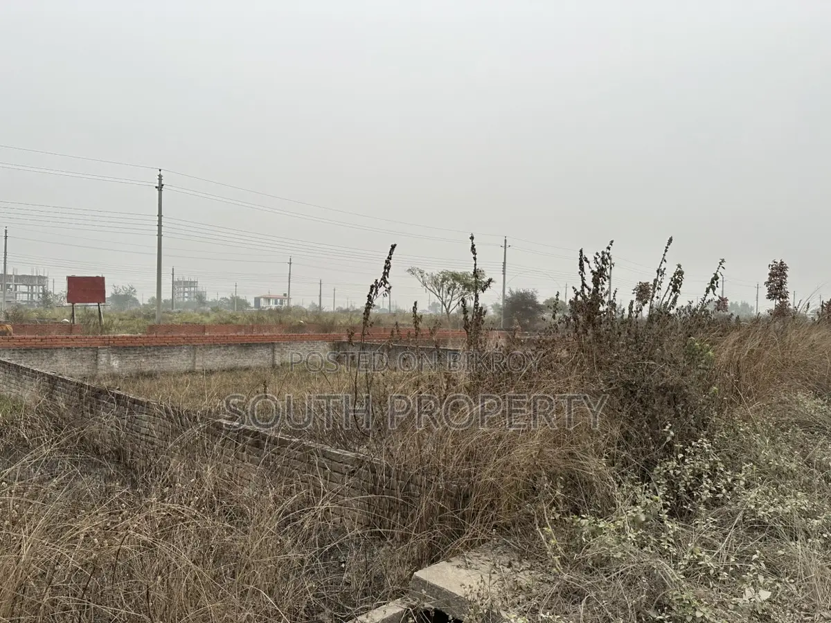 Block-P || South-facing plot 3 Katha