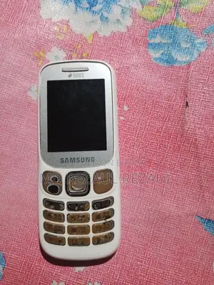 Samsung B313E (Used)