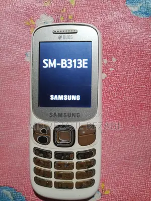 Samsung B313E (Used)