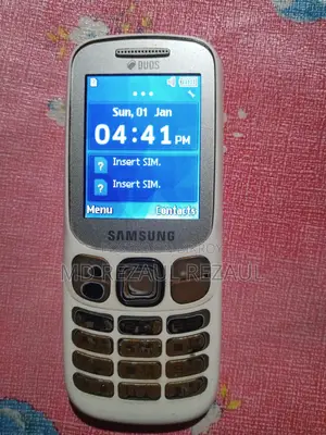 Samsung B313E (Used)