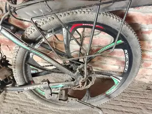 Bicycle for Sale