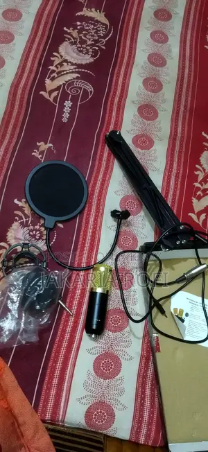 Microphone for Sale