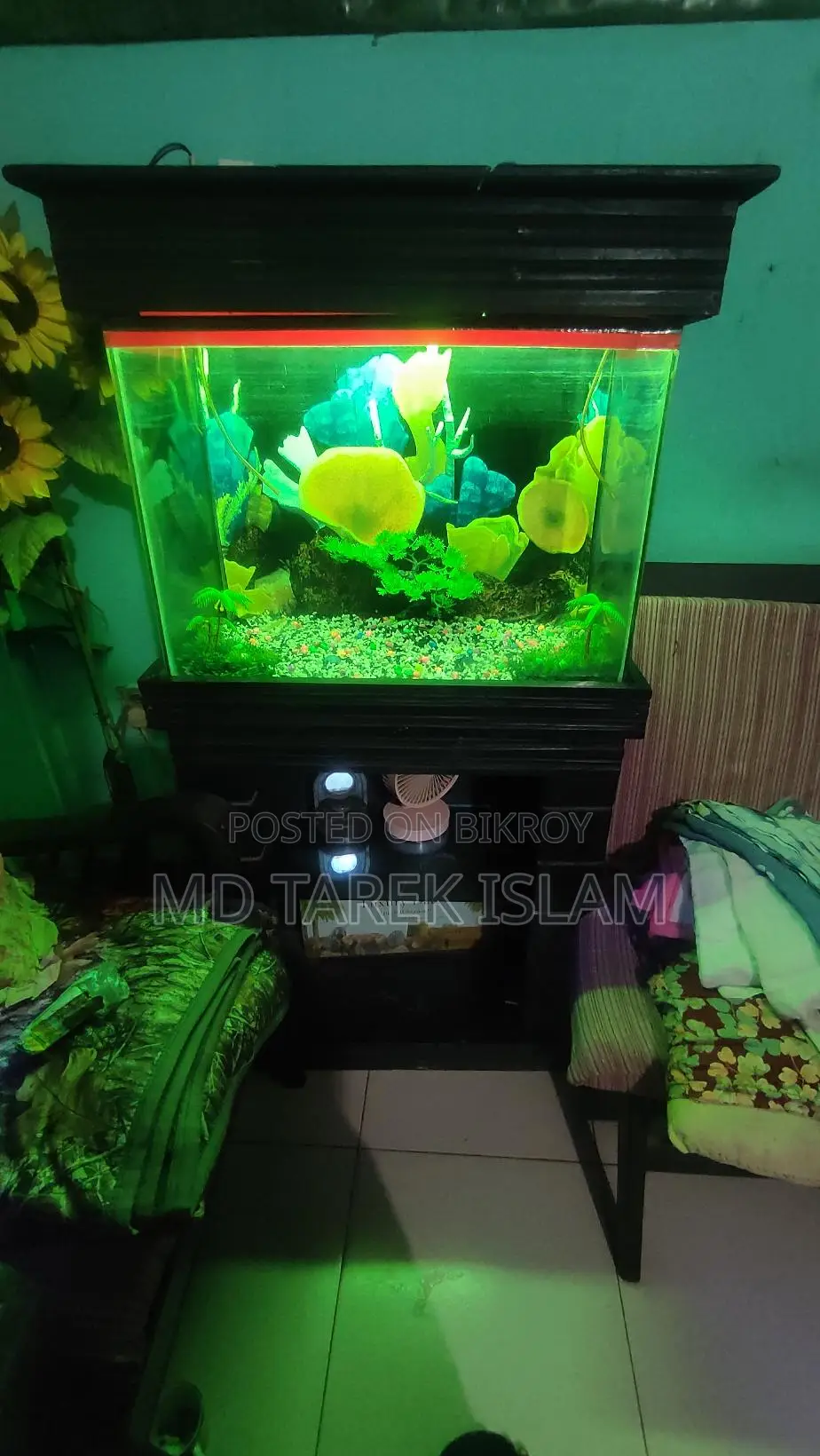 একুরিয়াম টা বিক্রি করা হবে বেশিদিন ইউজ হয় নাই