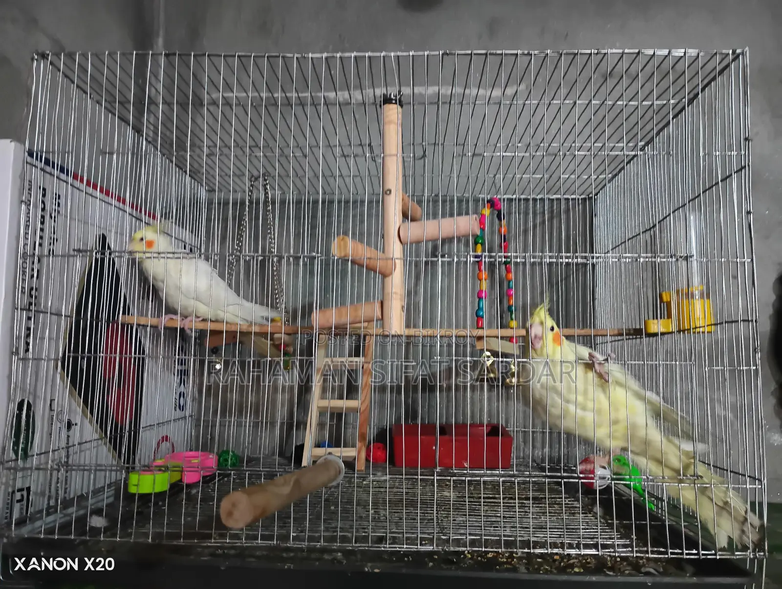 Pair for Sale