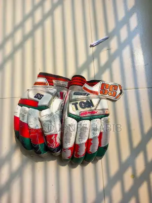 ক্রিকেট কিট