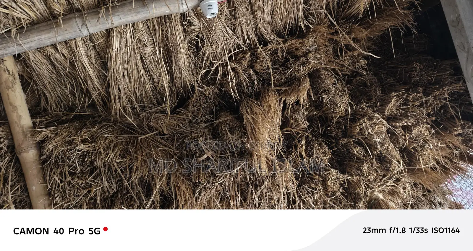 Paddy Straw or Bichali