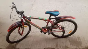 Muscular Bicycle