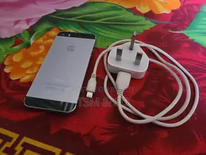 Apple iPhone 5S (Used)