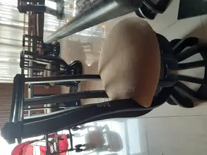 Dining Chair Sell Hobe