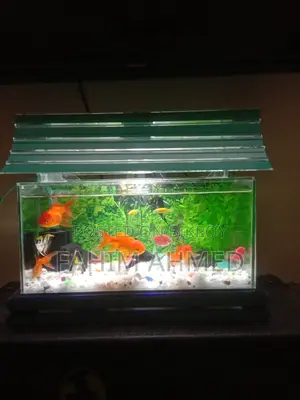 Aquriam sell post