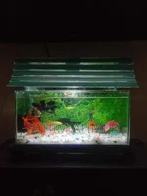 Aquriam sell post