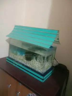 Aquriam sell post