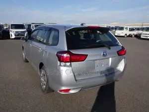 Toyota Fielder Ex Hybrid Silver 2020