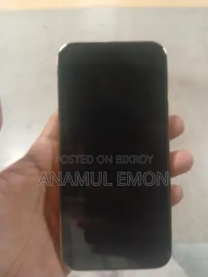 Apple iPhone 13 Pro Max . (Used)